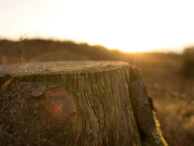 sudoku valid solution screenshot 1