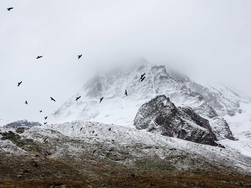 sudoku lite version screenshot 3
